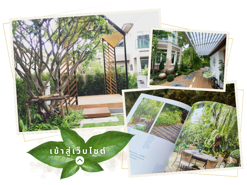 บริษัทรับออกแบบจัดสวน